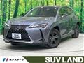 2019 Lexus Other