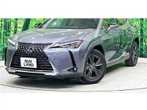2019 Lexus Other