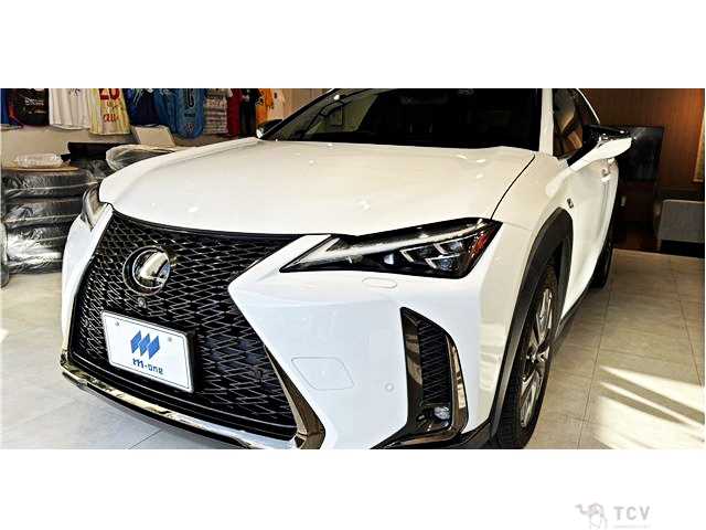 2019 Lexus Other