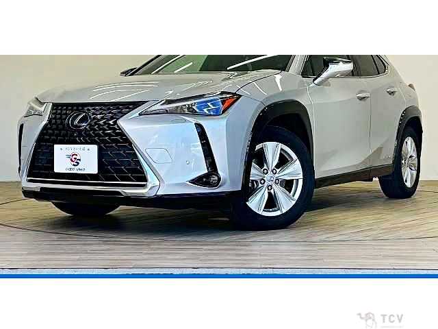 2019 Lexus Other