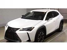 2019 Lexus Other