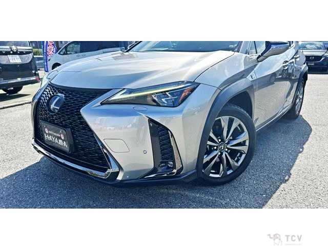 2019 Lexus Other