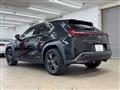2019 Lexus Other