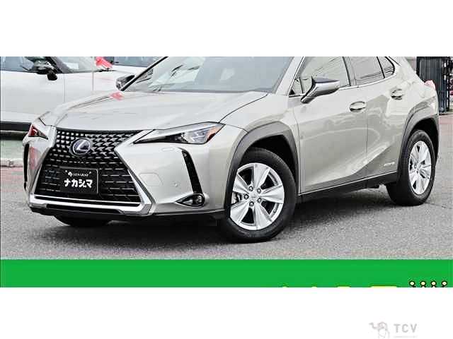 2019 Lexus Other