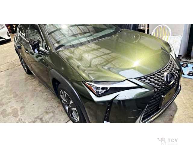 2019 Lexus Other