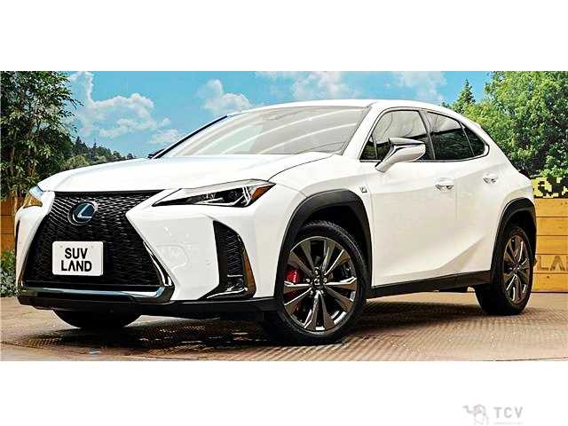 2019 Lexus Other