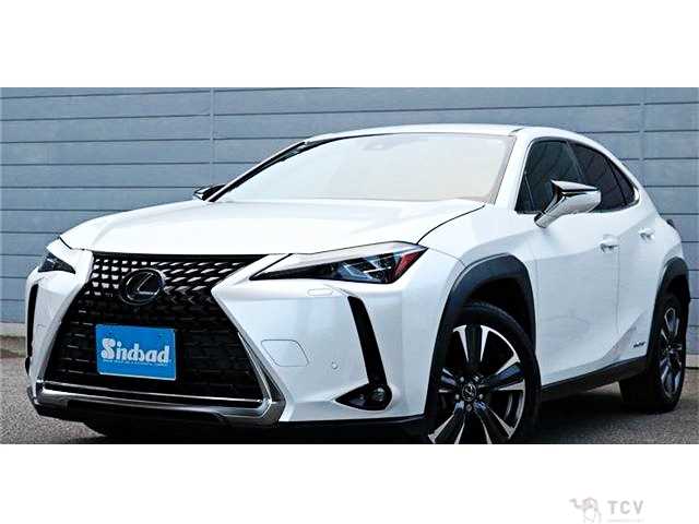 2019 Lexus Other