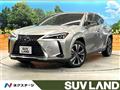 2019 Lexus Other