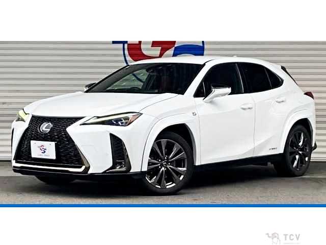 2019 Lexus Other