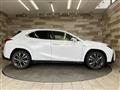 2019 Lexus Other