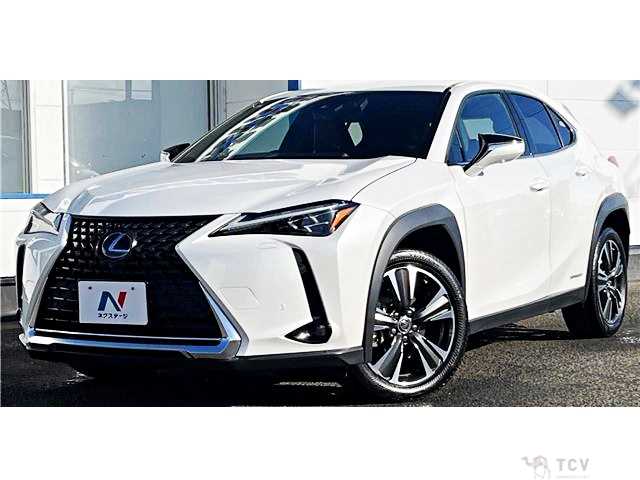 2019 Lexus Other