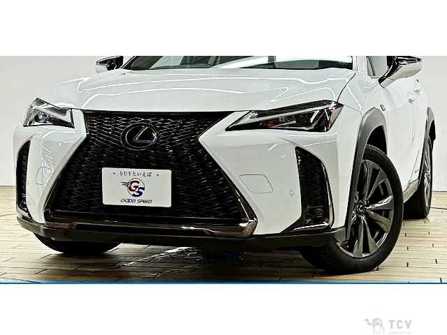 2019 Lexus Other