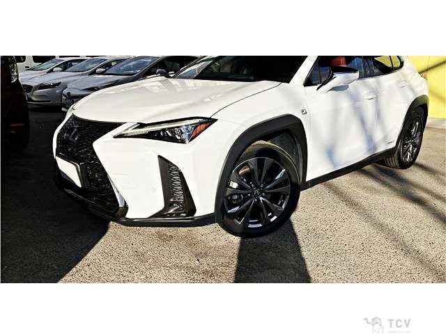2019 Lexus Other