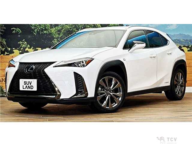 2019 Lexus Other