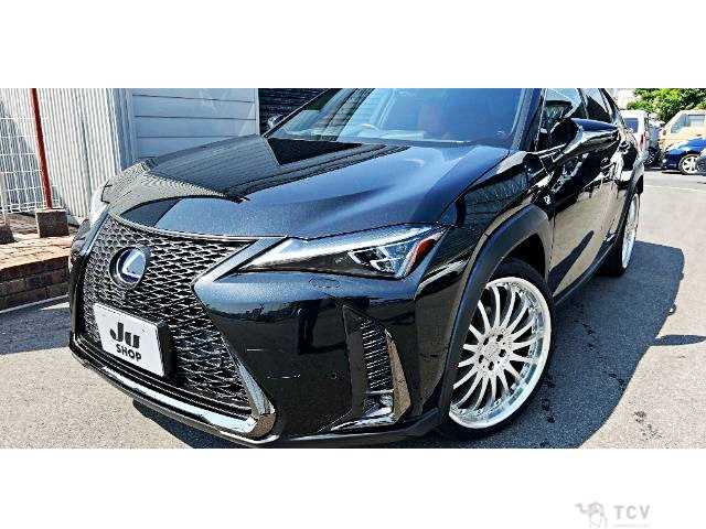 2019 Lexus Other