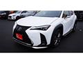 2019 Lexus Other