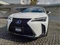 2019 Lexus Other