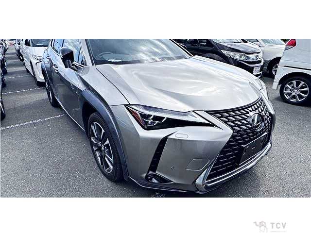 2018 Lexus Other