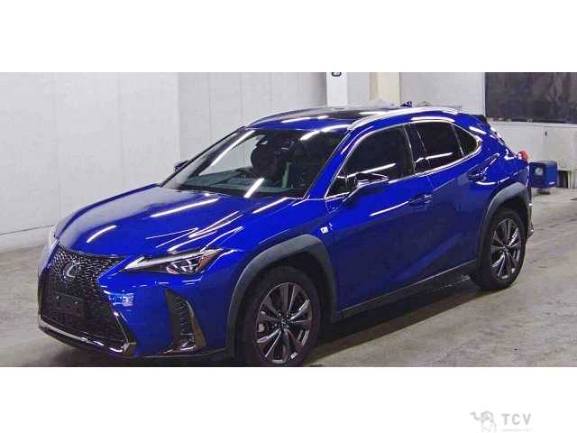 2018 Lexus Other