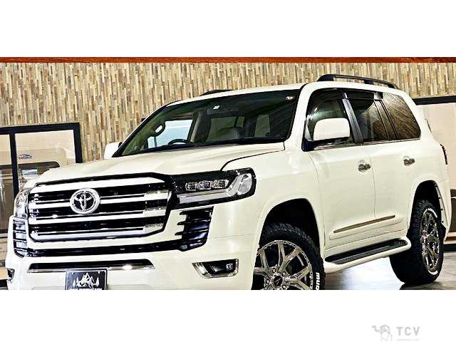 2009 Toyota Land Cruiser