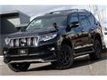 2019 Toyota Land Cruiser Prado