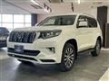 2019 Toyota Land Cruiser Prado