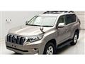 2021 Toyota Land Cruiser Prado