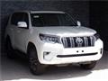 2023 Toyota Land Cruiser Prado
