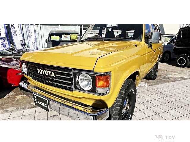 1989 Toyota Land Cruiser