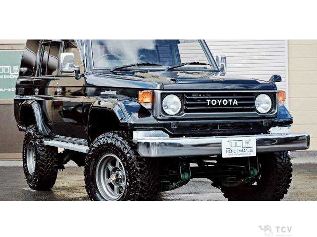 1995 Toyota Land Cruiser