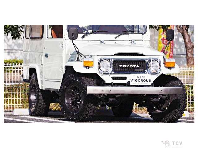 1981 Toyota Land Cruiser