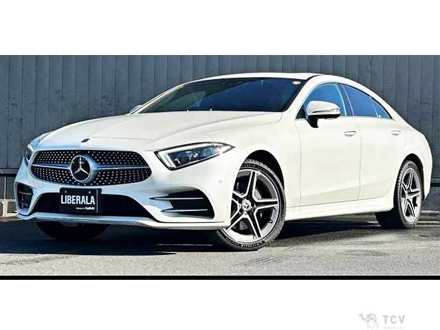 2019 Mercedes-Benz Cls-Class