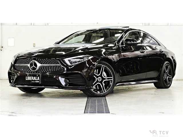 2019 Mercedes-Benz Cls-Class