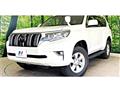 2019 Toyota Land Cruiser Prado