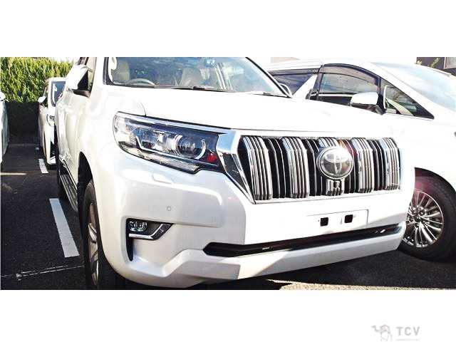 2019 Toyota Land Cruiser Prado