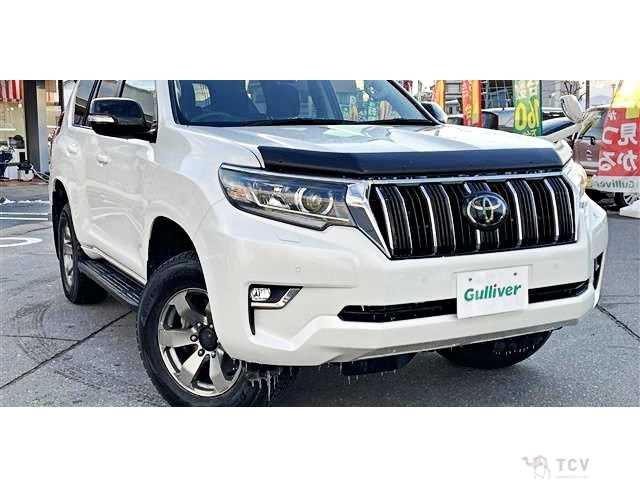 2019 Toyota Land Cruiser Prado