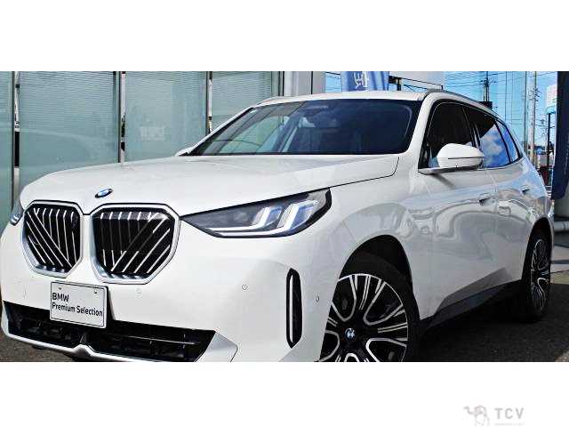 2025 BMW X3