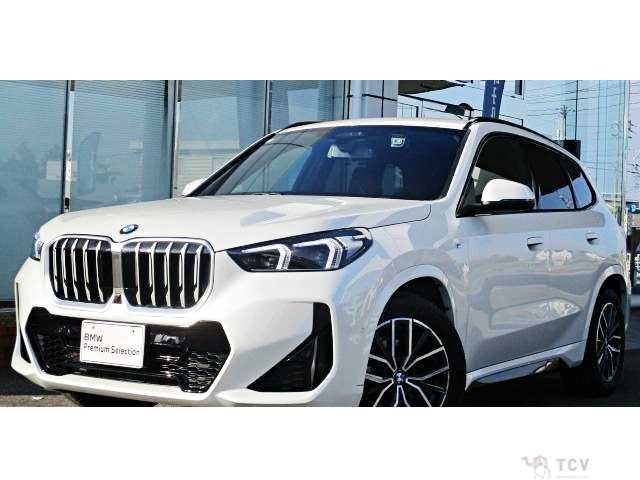 2025 BMW X1
