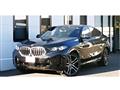 2025 BMW X6