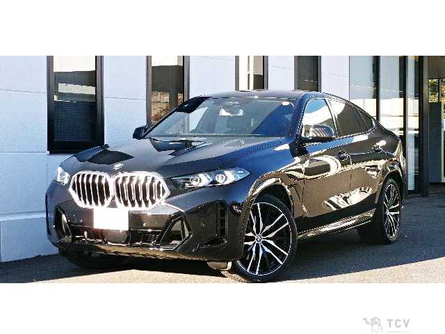 2025 BMW X6
