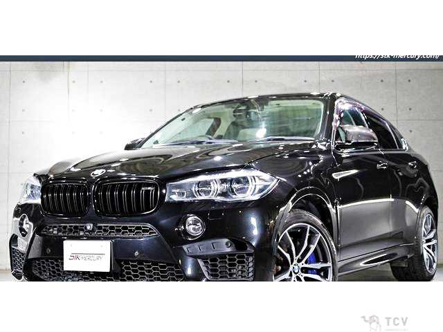 2016 BMW X6