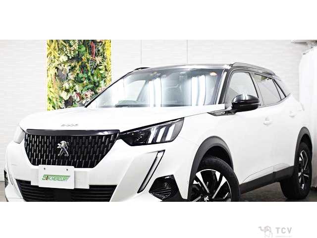 2021 Peugeot Peugoet Others