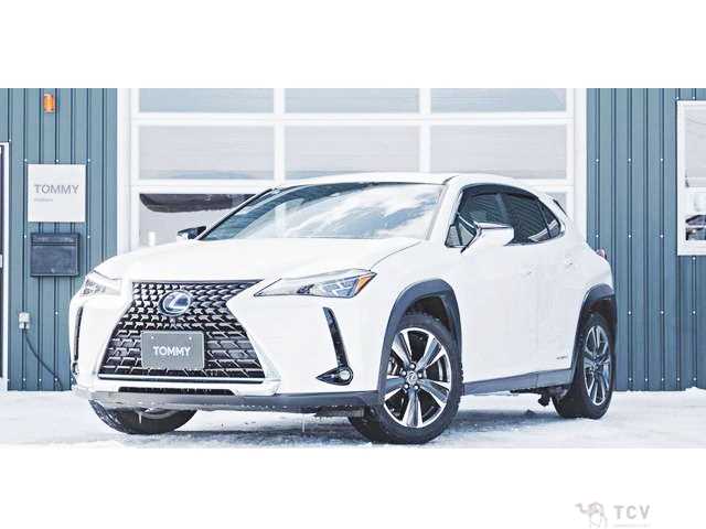 2019 Lexus Other
