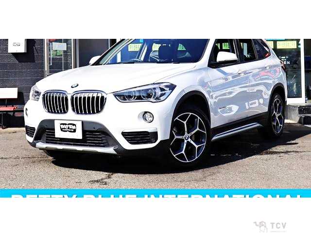 2017 BMW X1