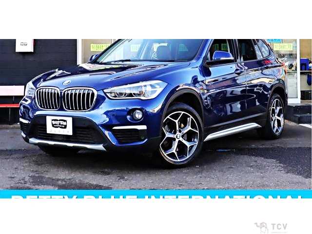 2018 BMW X1