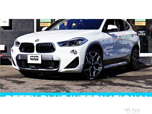 2019 BMW X2