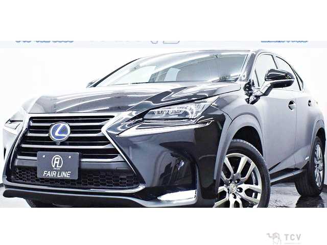 2016 Lexus NX