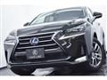 2016 Lexus NX