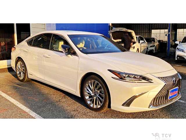 2019 Lexus ES