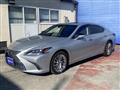 2019 Lexus ES